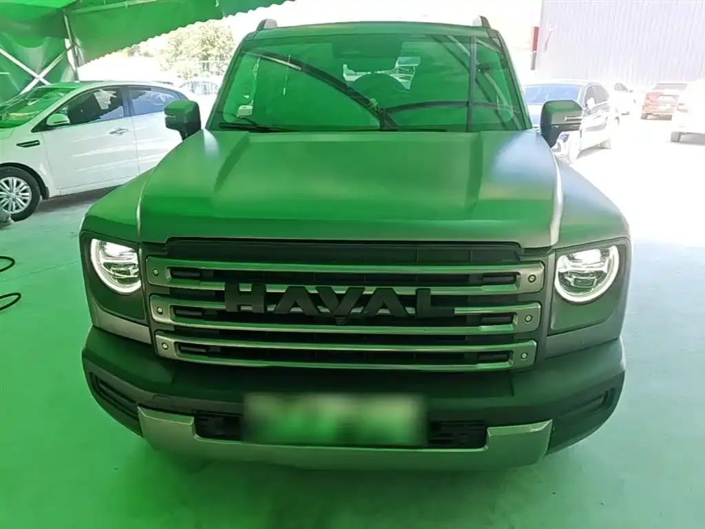 Haval Menglong New Energy 2024 из CN, фото 2