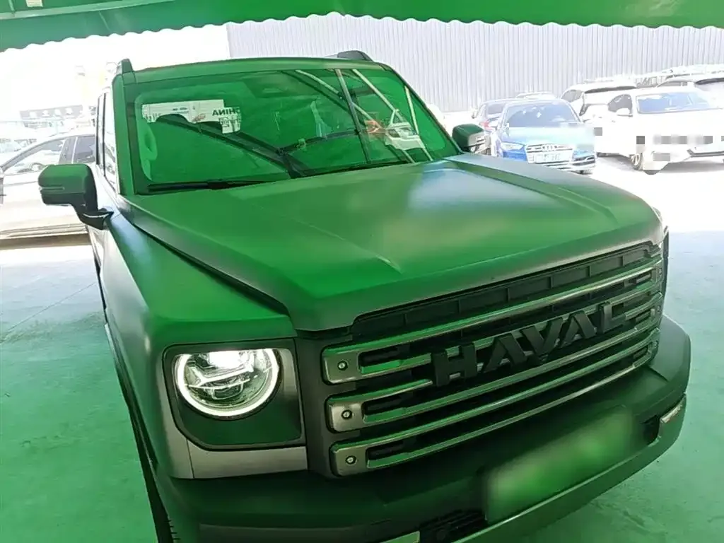 Haval Menglong New Energy 2024 из CN, фото 7