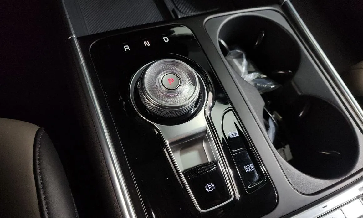 Kia Carnival — фото 10