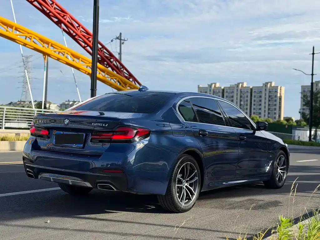 BMW 5 Series 2021 из CN, фото 8