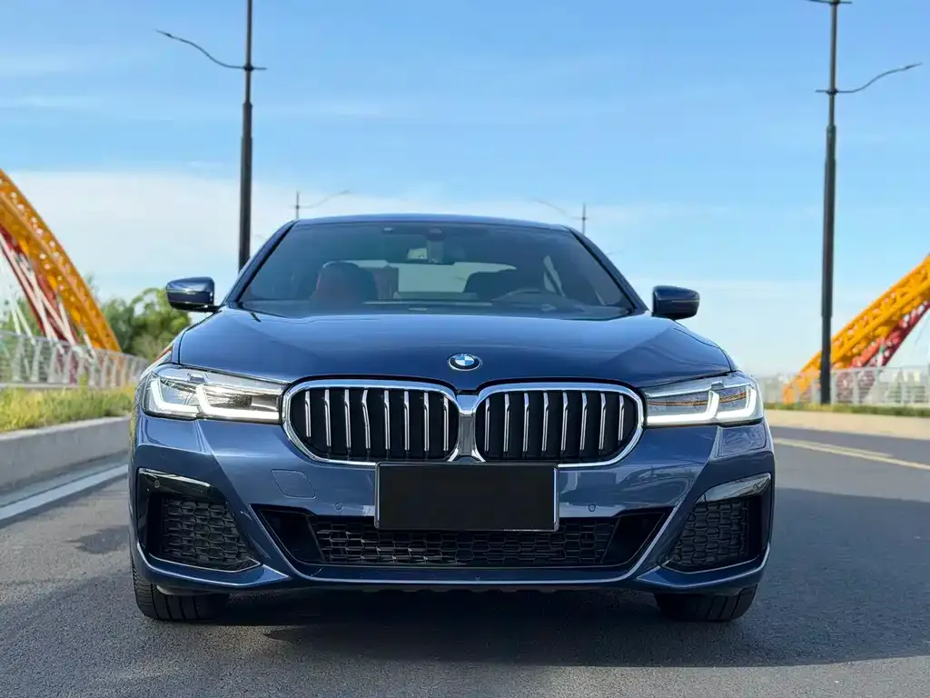 BMW 5 Series 2021 из CN, фото 2