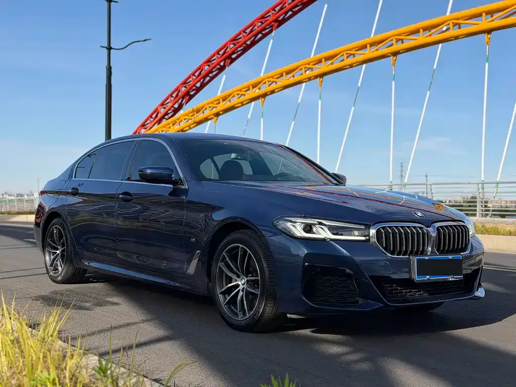 BMW 5 Series 2021 из CN, фото 7