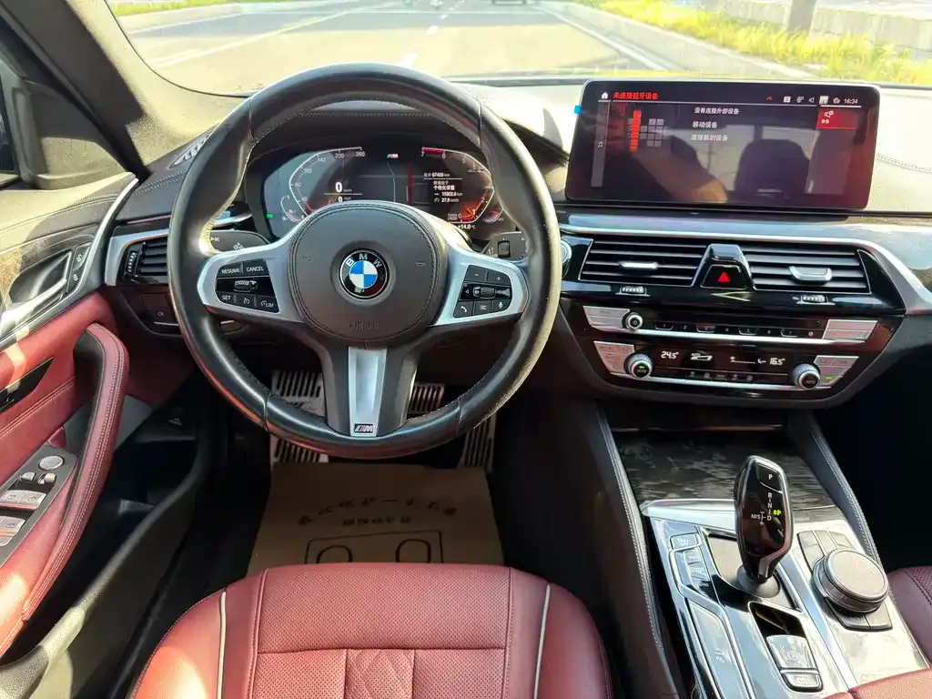 BMW 5 Series 2021 из CN, фото 10