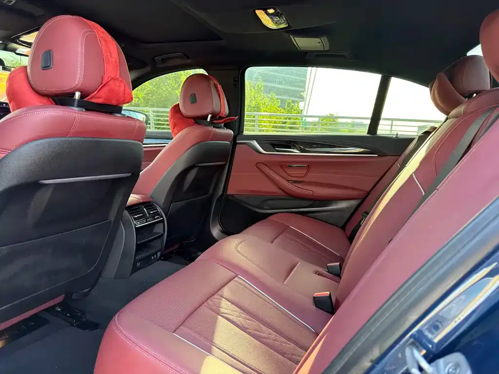 BMW 5 Series 2021 из CN, фото 9