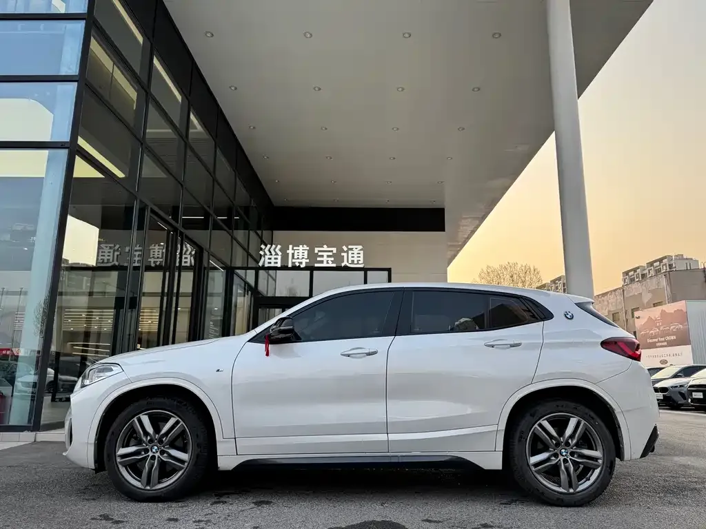 BMW X2 2023 из CN, фото 9