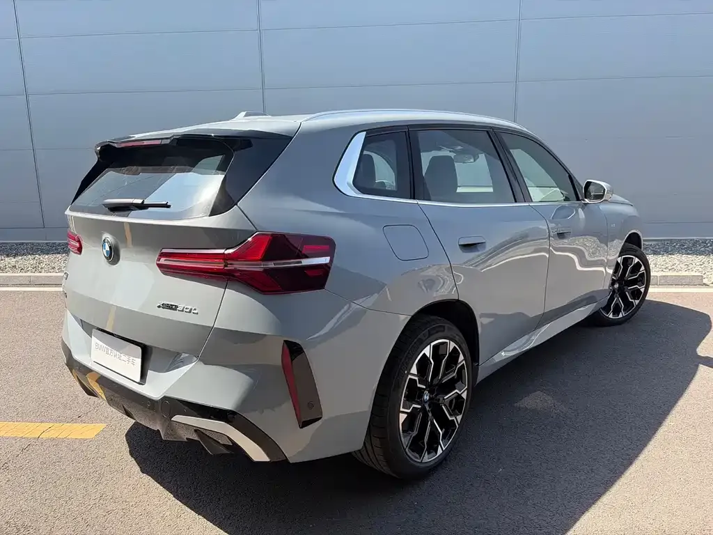 BMW X3 2025 из CN, фото 9