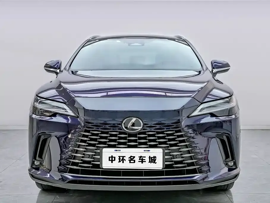 Lexus RX — фото 6