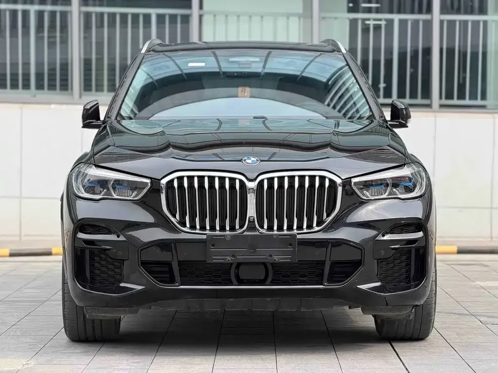 BMW X5 (Import) 2021 из CN, фото 6