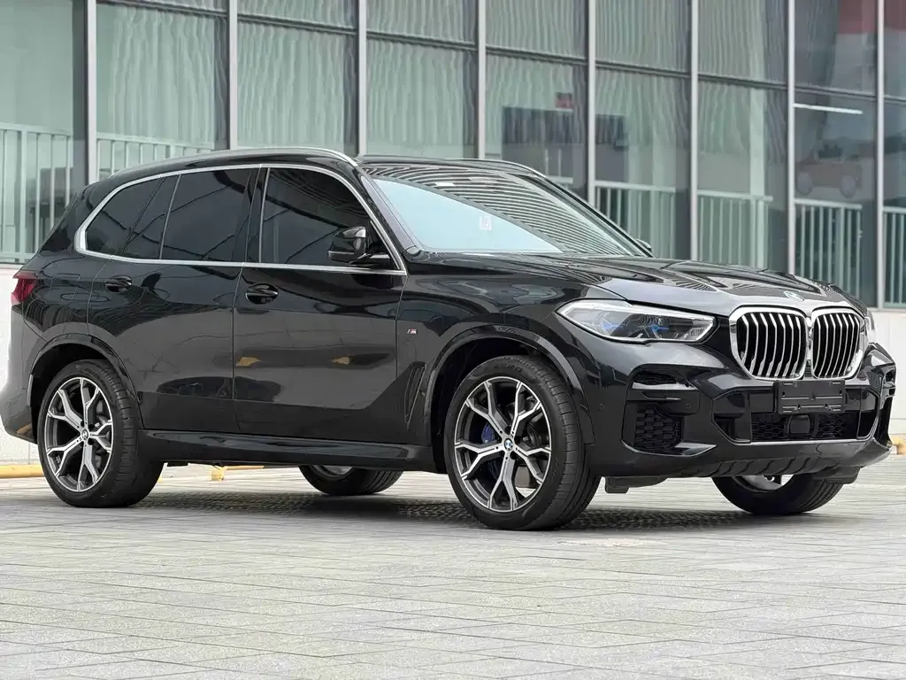 BMW X5 (Import) 2021 из CN, фото 10