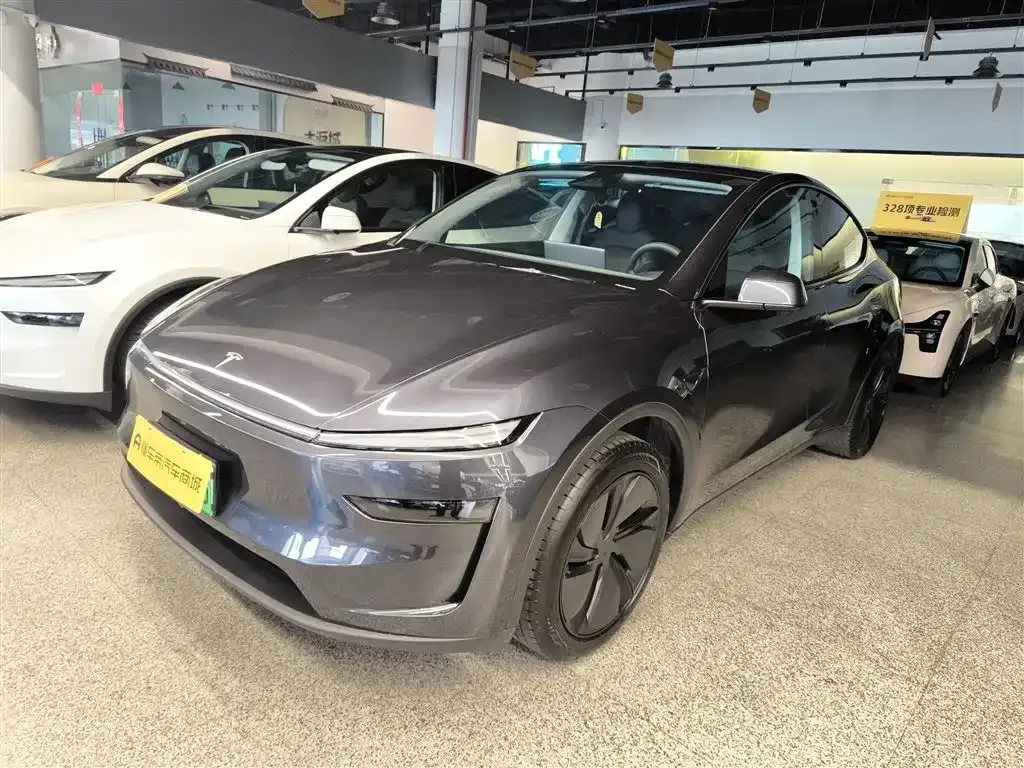 Tesla Model Y — фото 10
