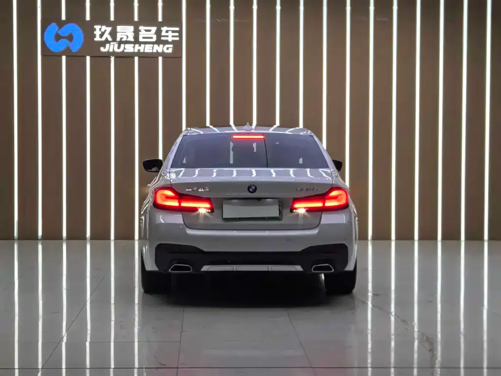 BMW 5 Series New Energy — фото 10