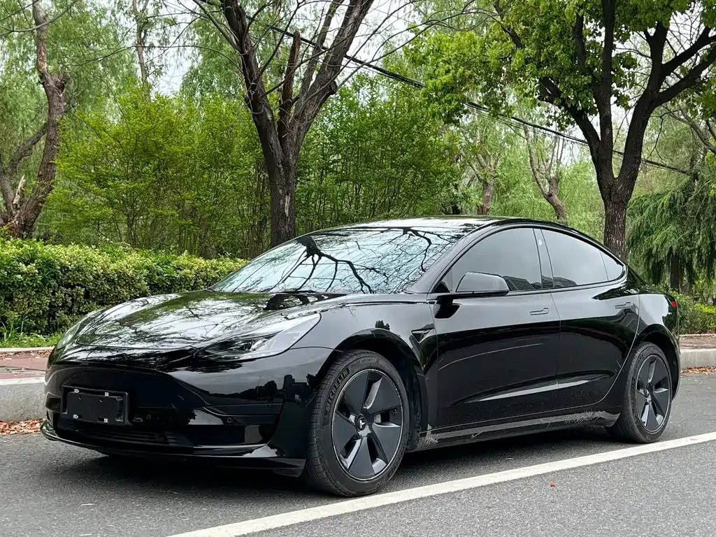 Tesla Model 3 — фото 1