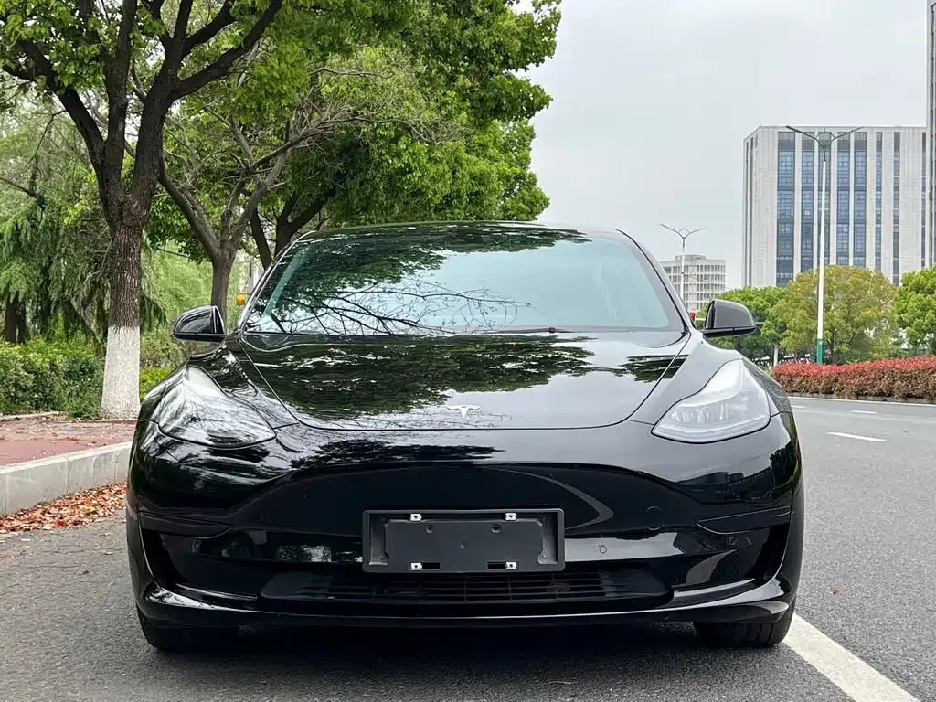 Tesla Model 3 — фото 2