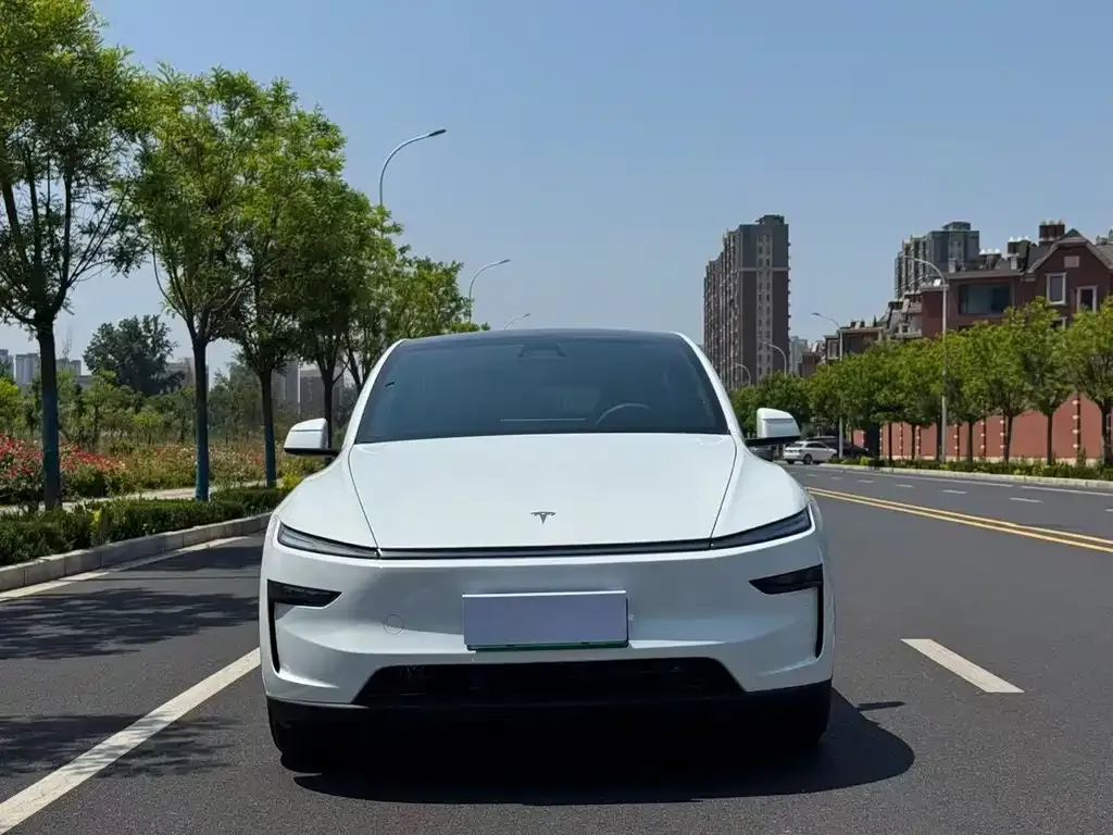 Tesla Model Y — фото 5