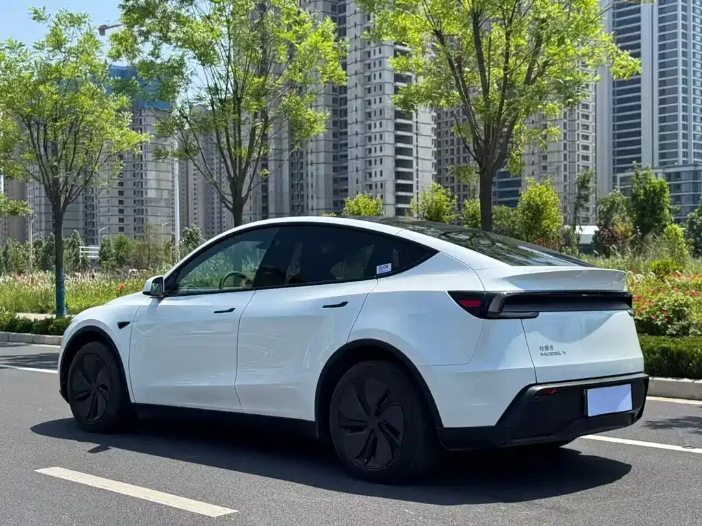 Tesla Model Y — фото 8