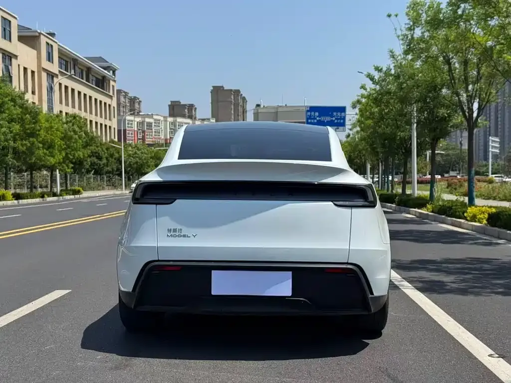 Tesla Model Y — фото 3