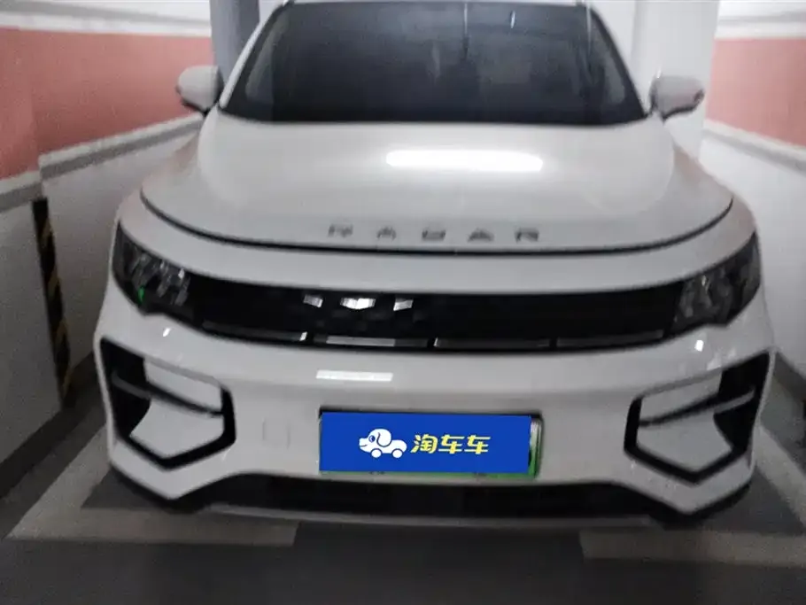 Geely Radar Horizon 2023 из CN, фото 2