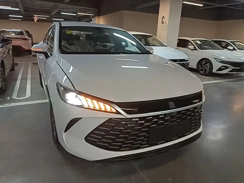 BYD Qin PLUS — фото 7