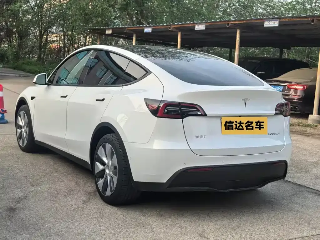 Tesla Model Y — фото 5