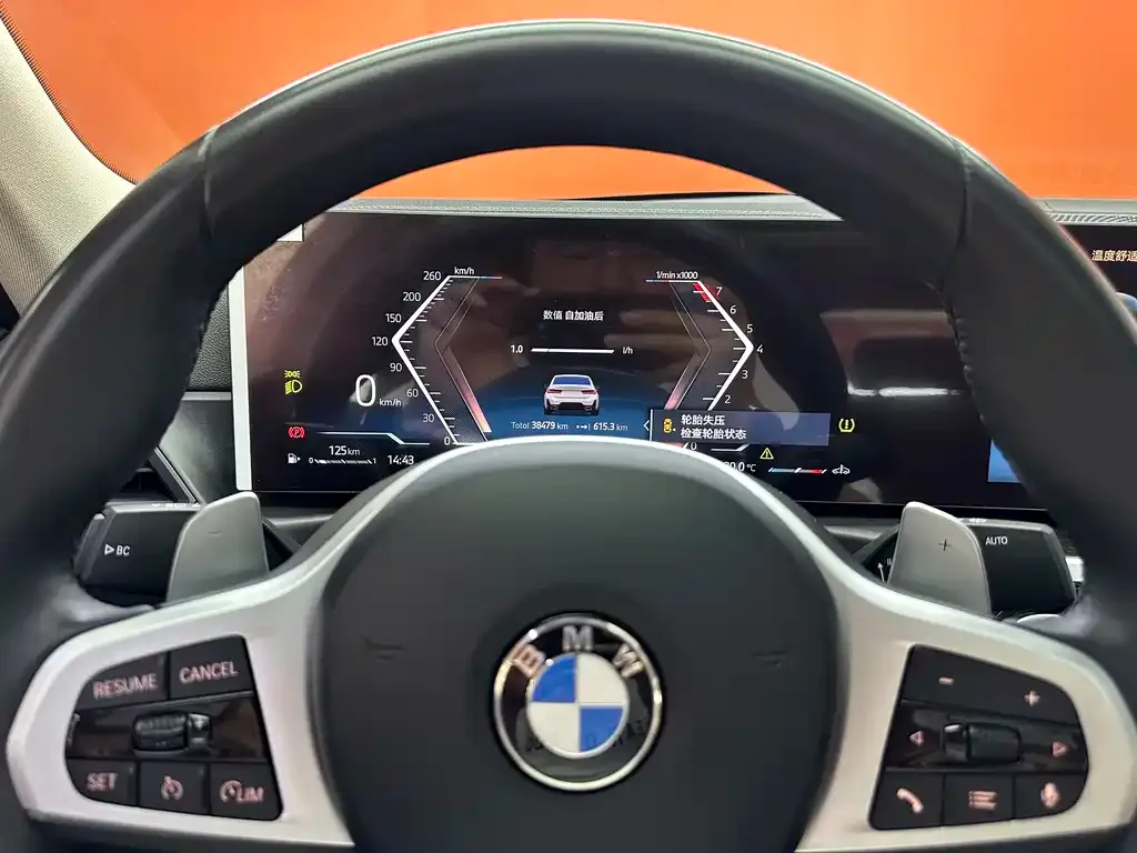 BMW 3 Series 2024 из CN, фото 7