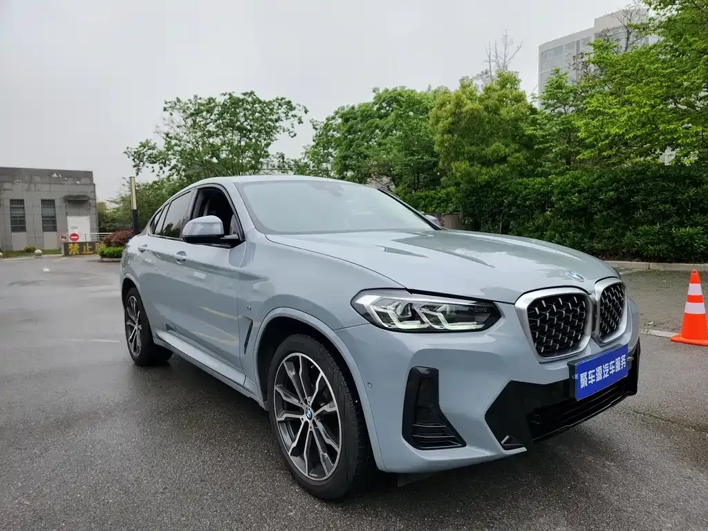 BMW X4 2022 из CN, фото 4