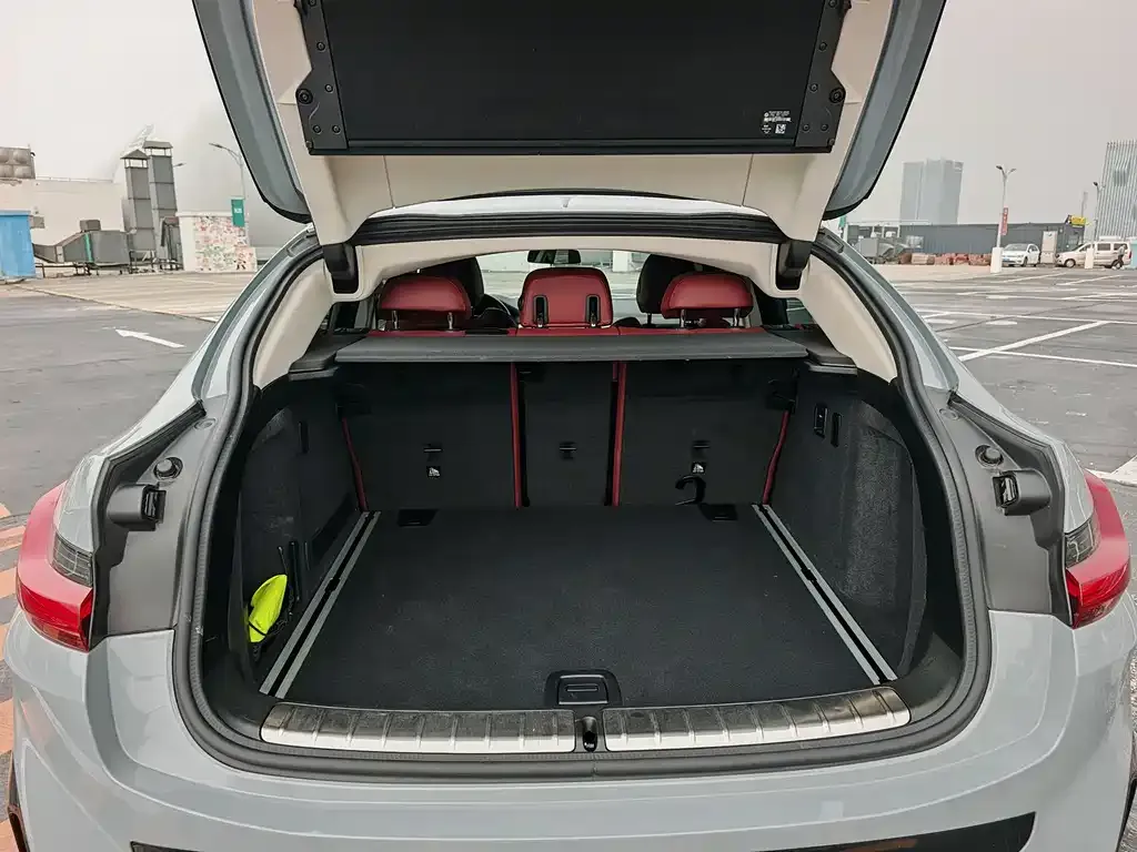 BMW X4 2022 из CN, фото 5