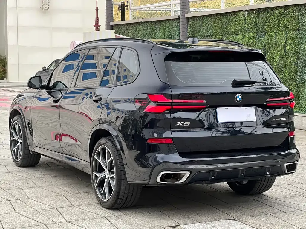 BMW X5 — фото 10