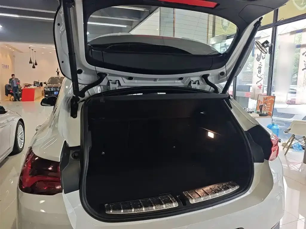 BMW X2 2021 из CN, фото 9