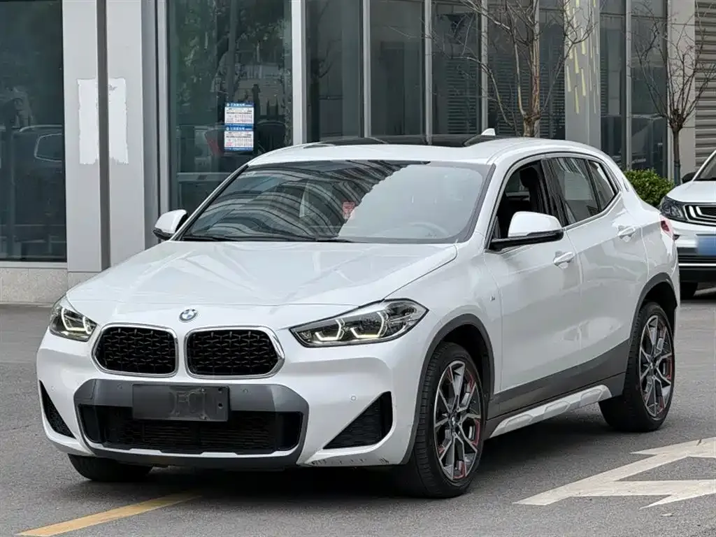 BMW X2 2021 из CN, фото 7
