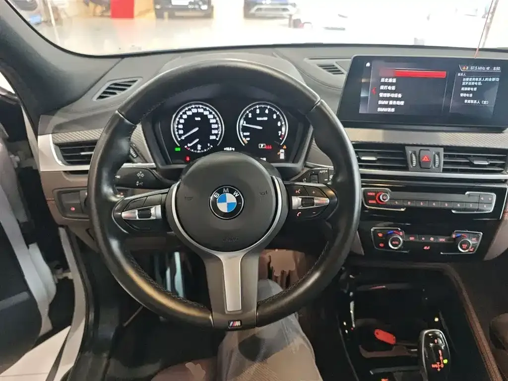 BMW X2 2021 из CN, фото 4