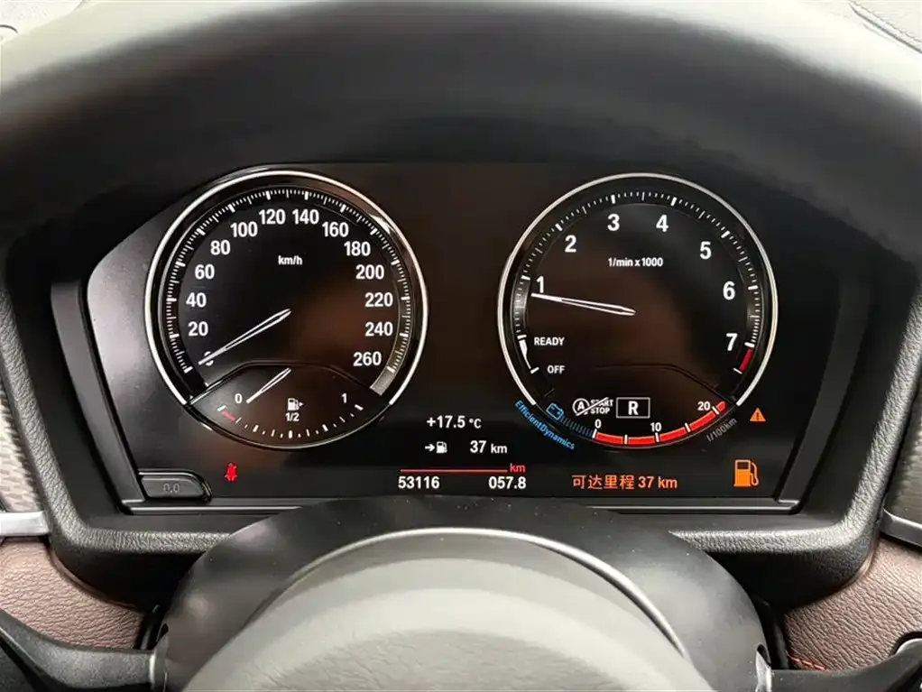 BMW X2 2021 из CN, фото 10