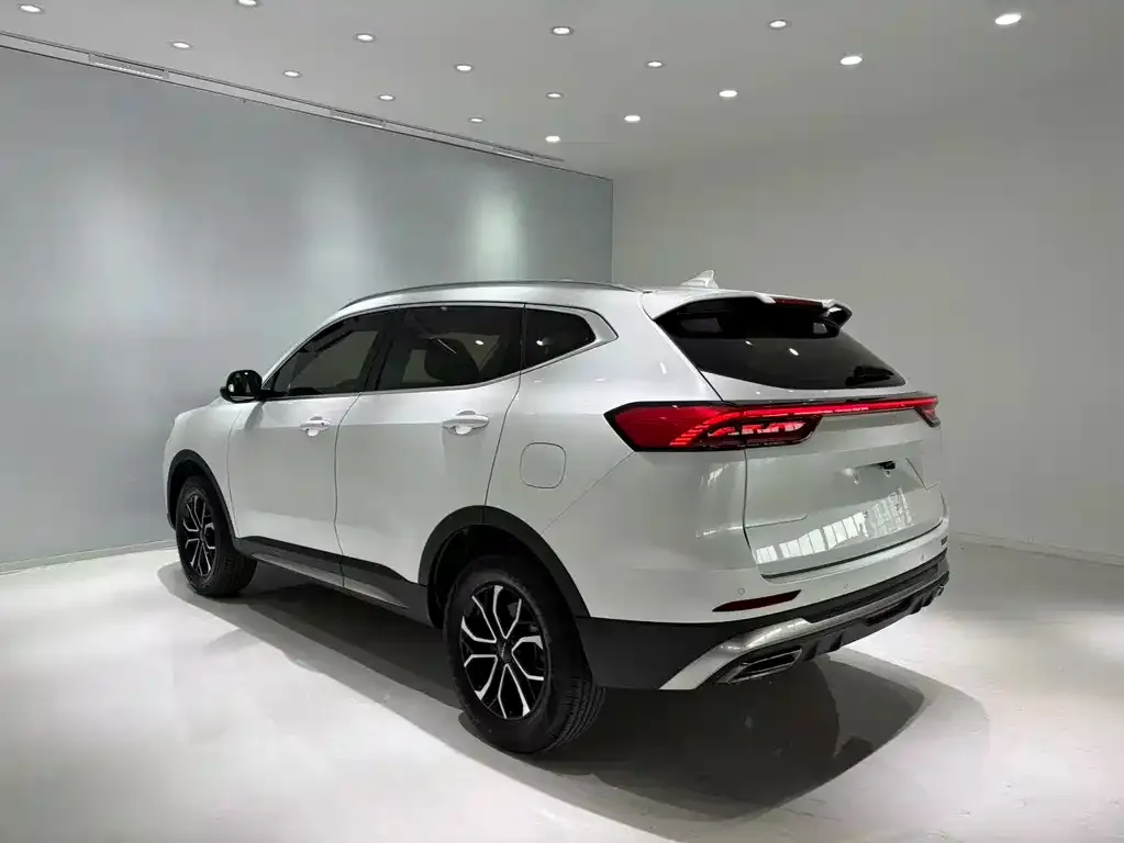 Haval H6 — фото 8