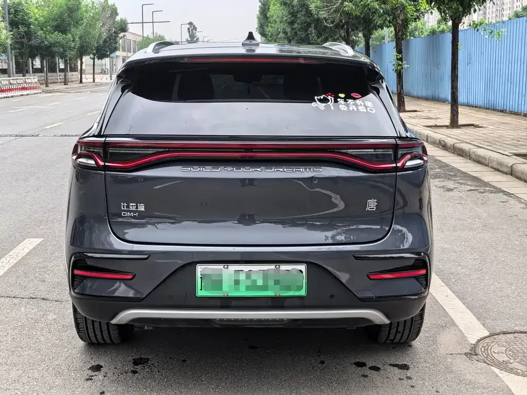 BYD Tang New Energy 2023 из CN, фото 9