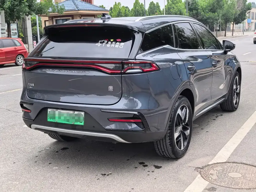 BYD Tang New Energy 2023 из CN, фото 4