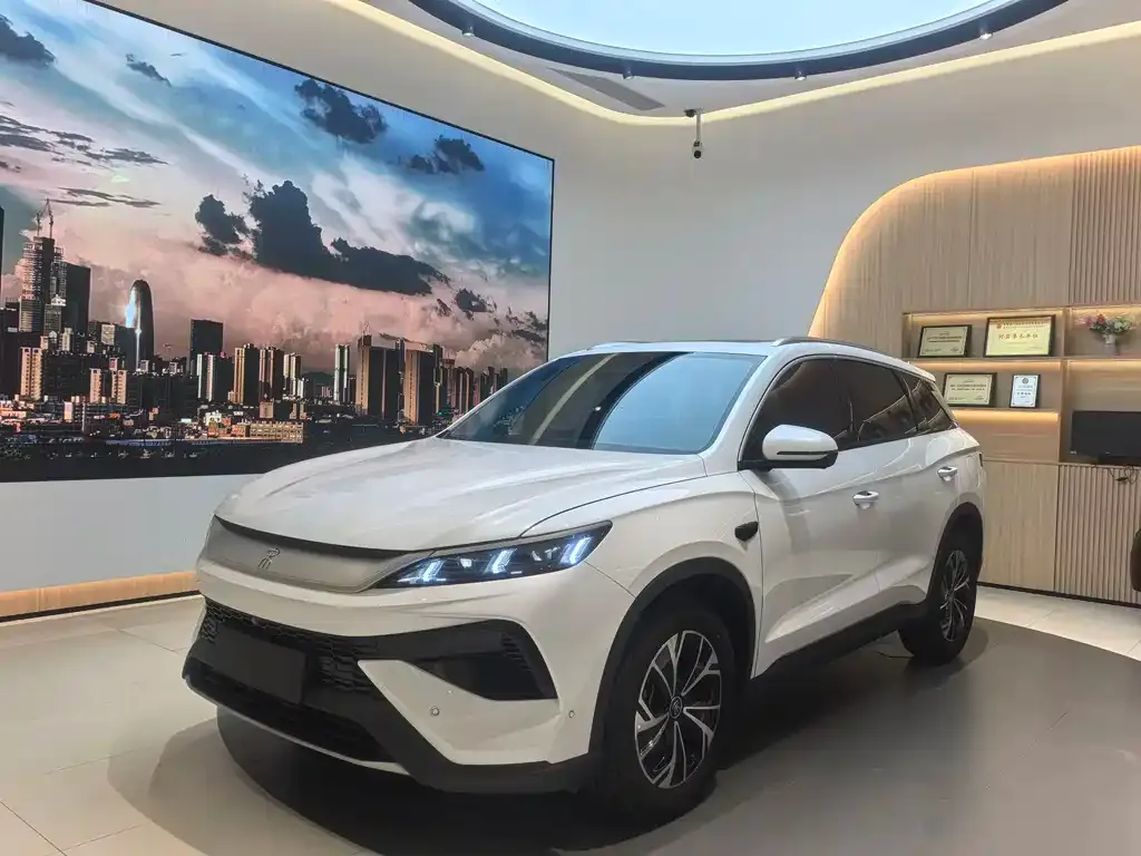 BYD Pro New Energy — фото 1