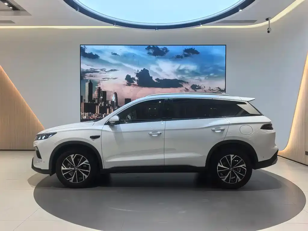 BYD Pro New Energy — фото 2