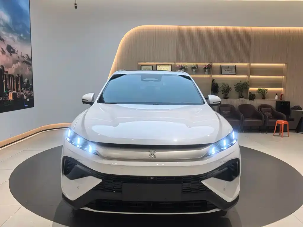 BYD Pro New Energy — фото 6