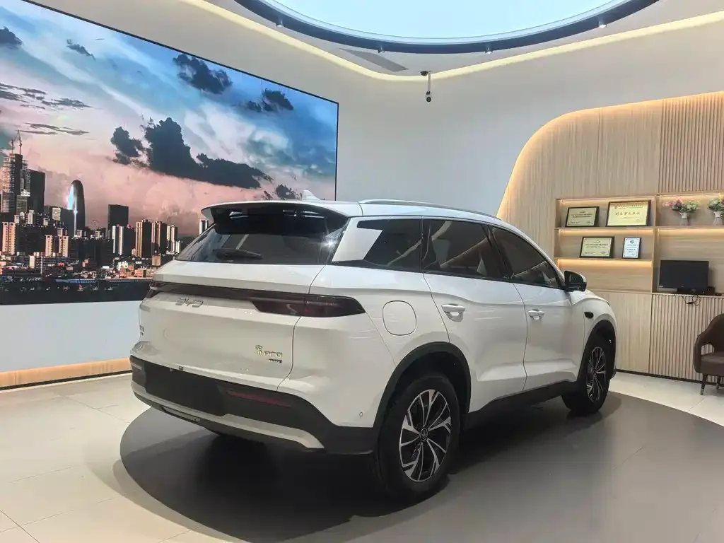 BYD Pro New Energy — фото 8