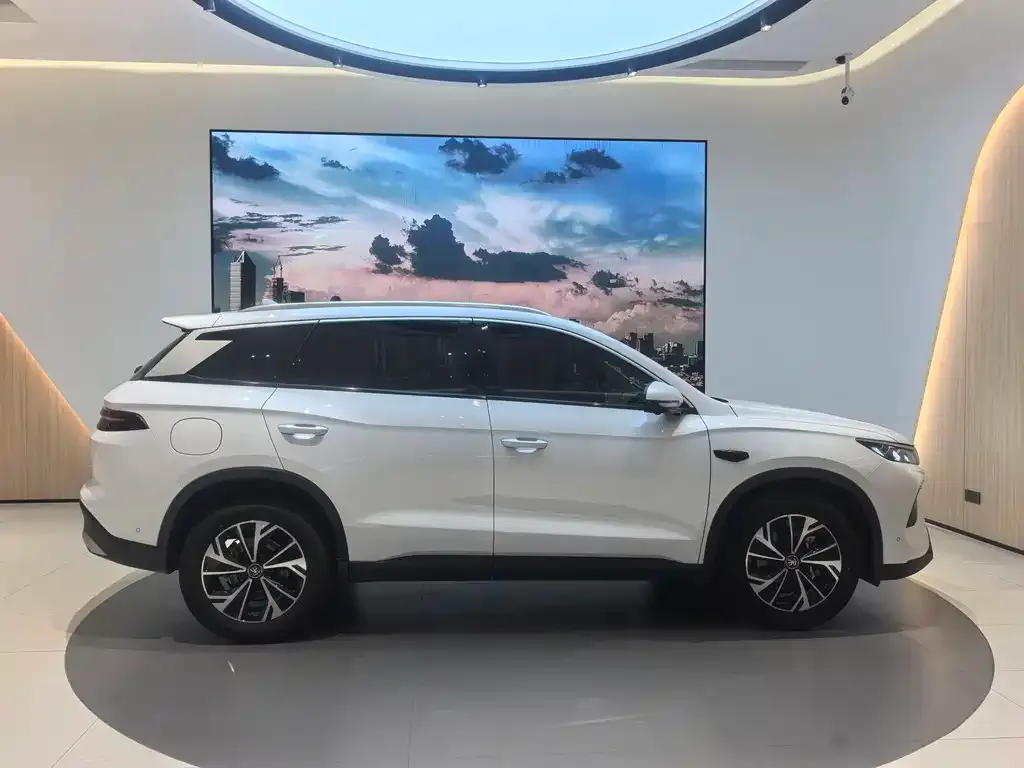 BYD Pro New Energy — фото 7