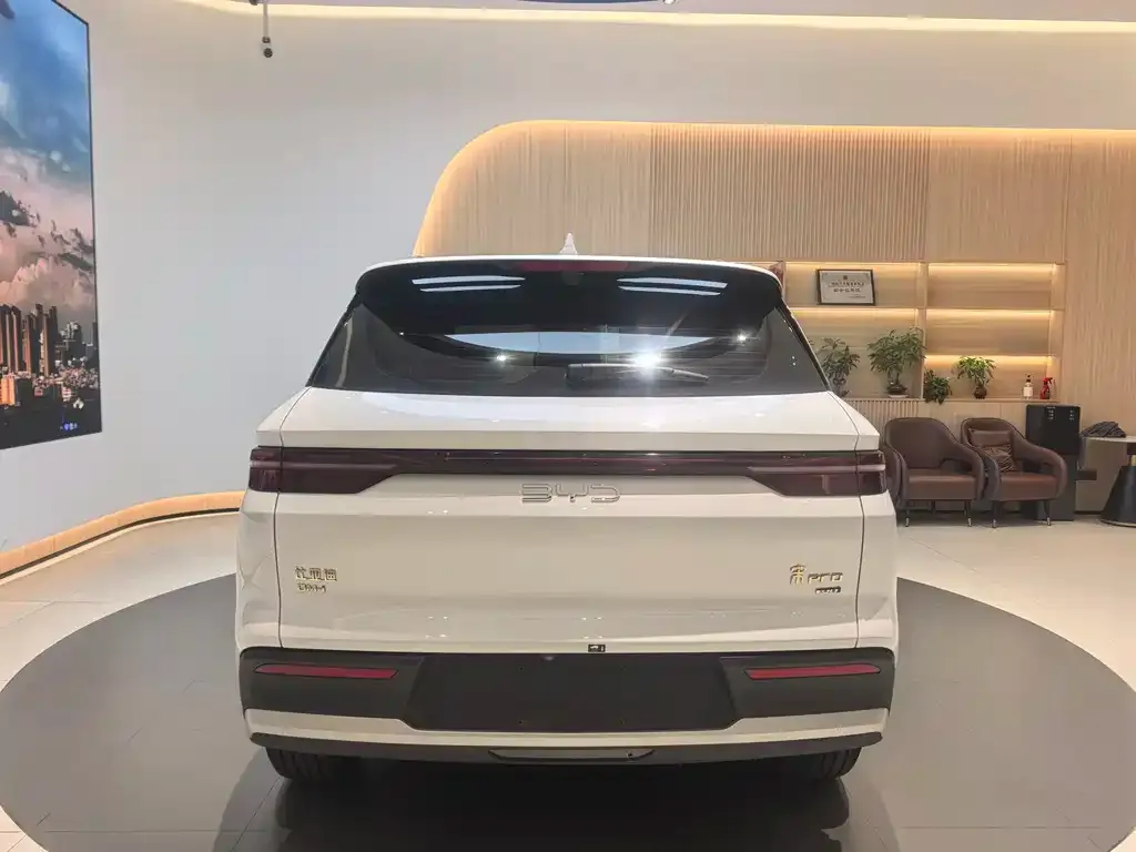 BYD Pro New Energy — фото 4