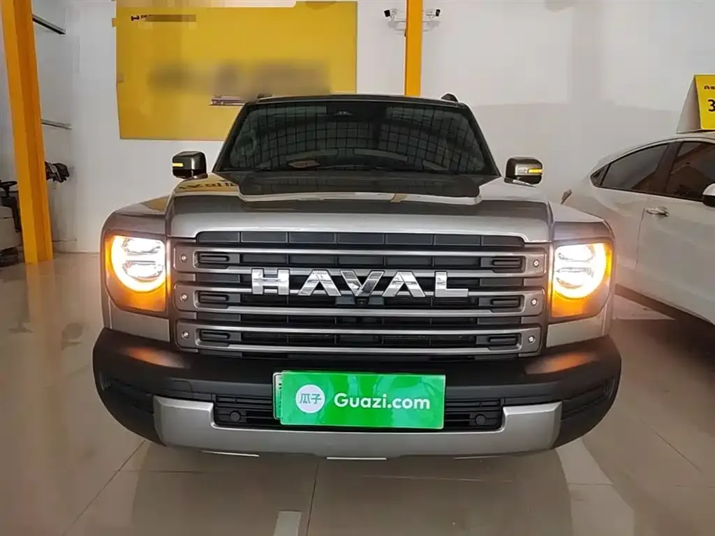 Haval Menglong New Energy 2024 из CN, фото 5