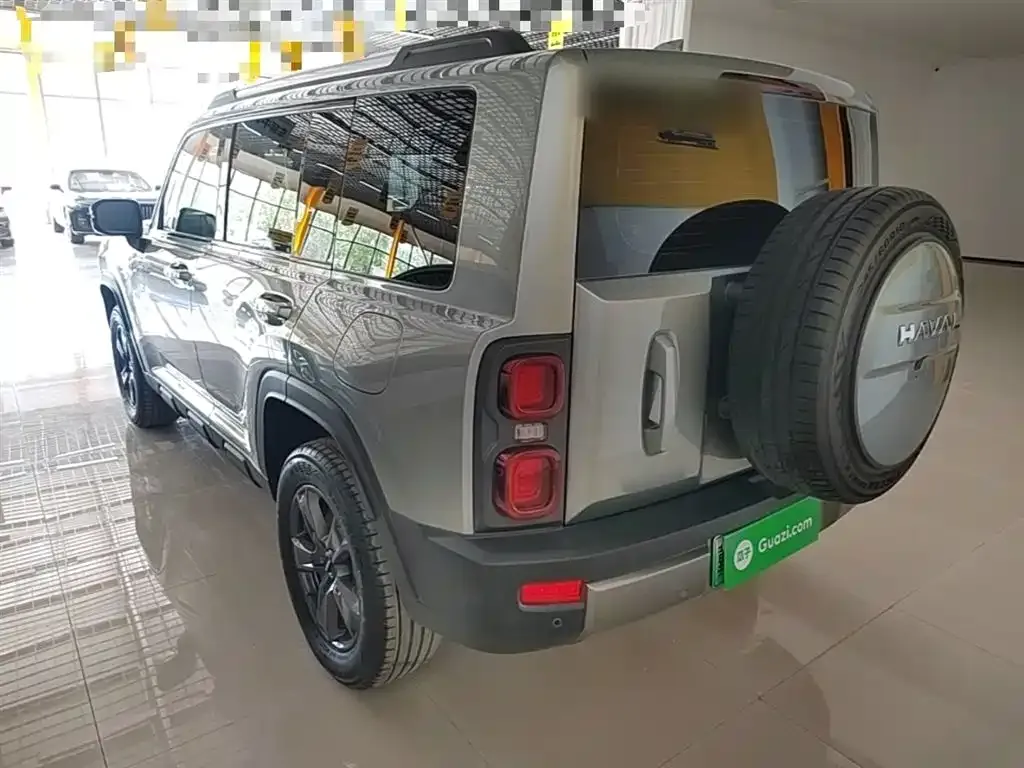 Haval Menglong New Energy 2024 из CN, фото 6