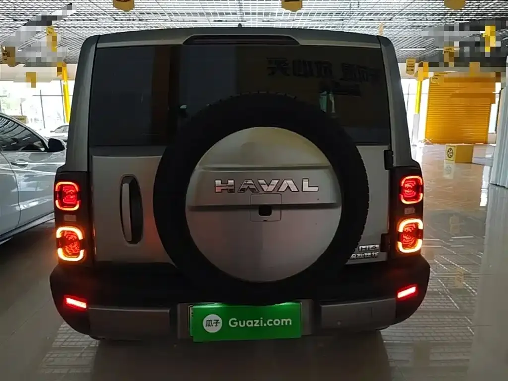 Haval Menglong New Energy 2024 из CN, фото 9