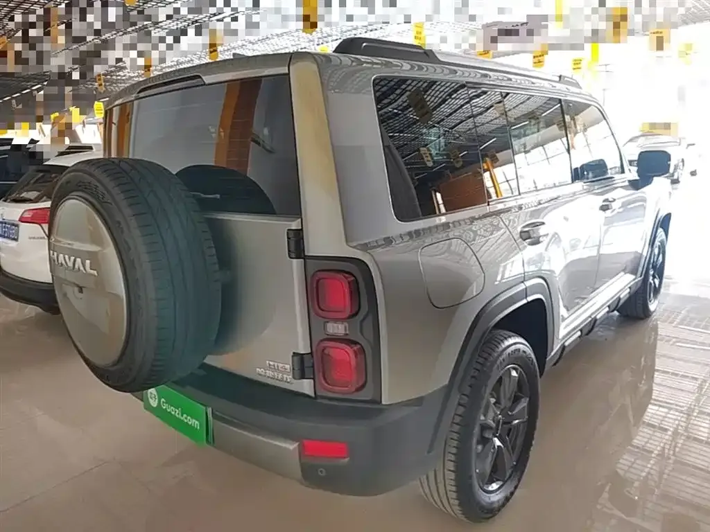Haval Menglong New Energy 2024 из CN, фото 10