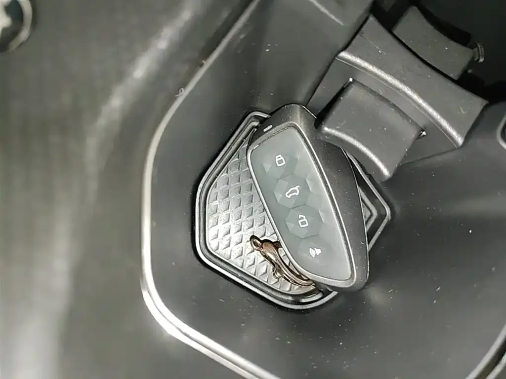 Haval Menglong New Energy 2024 из CN, фото 3