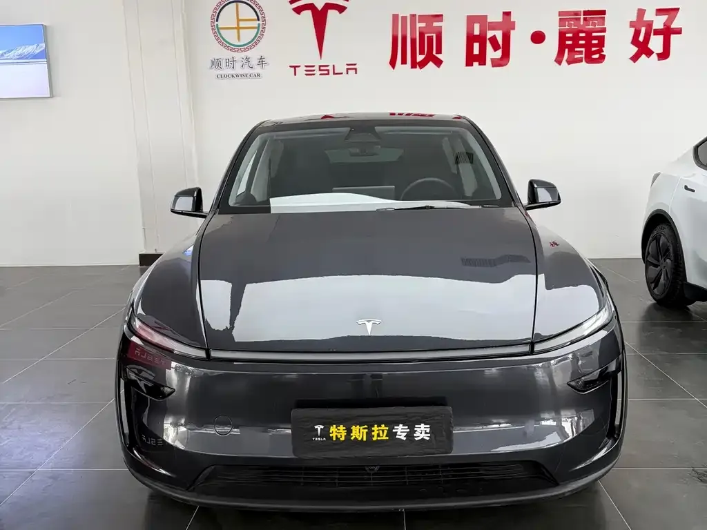 Tesla Model Y — фото 4