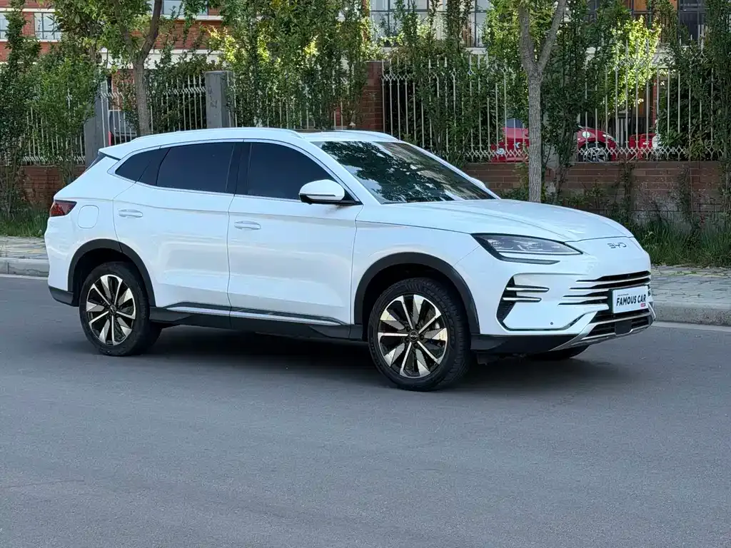 BYD PLUS New Energy — фото 6