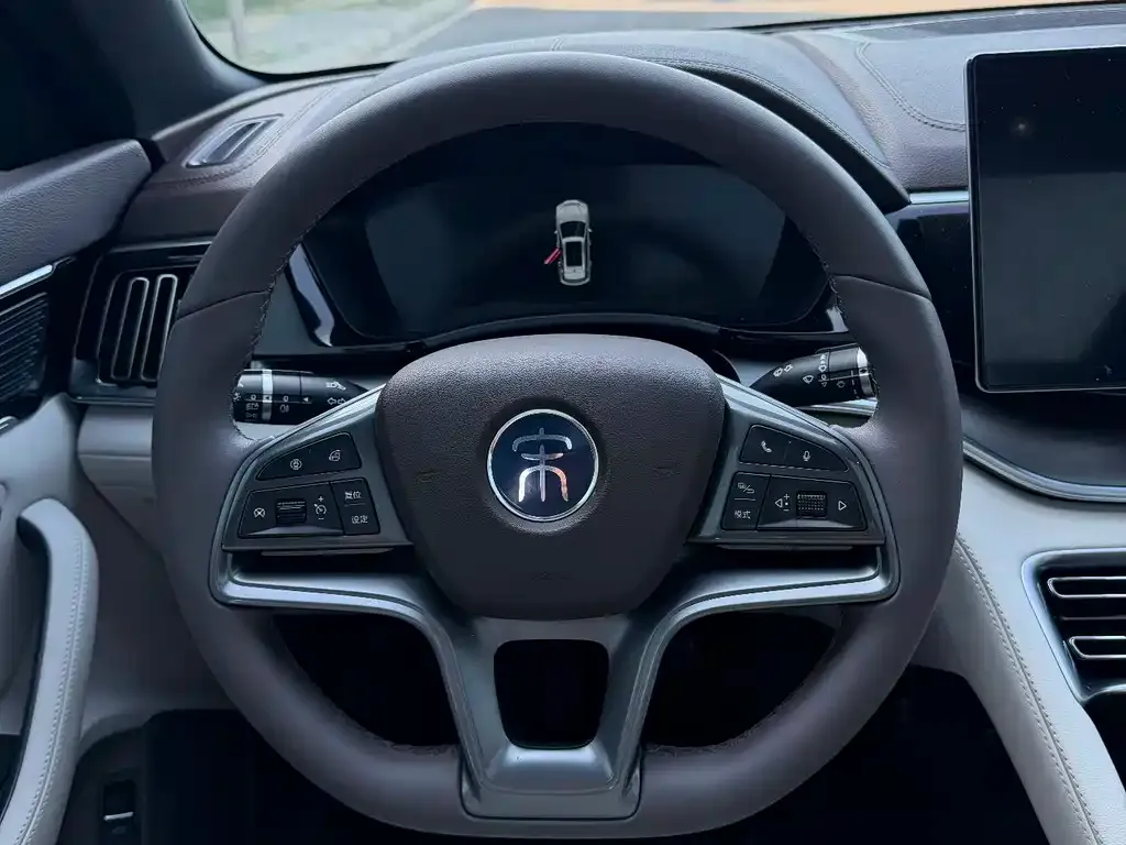 BYD PLUS New Energy — фото 4