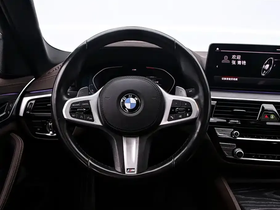 BMW 5 Series — фото 10