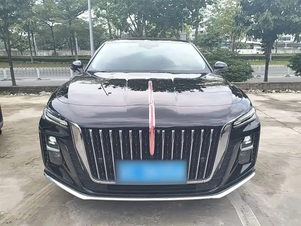 Hongqi H5 2024 из CN, фото 6